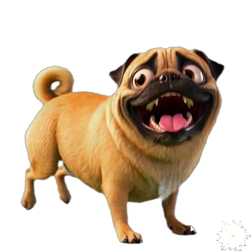Perro Pug