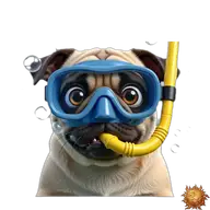 Mops: tauchend WhatsApp-Sticker Original animierter Mops Sticker tauchend für WhatsApp, erstellt von Dimensión Marta
