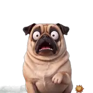 Mops: verlegen WhatsApp-Sticker Original animierter Mops Sticker verlegen für WhatsApp, erstellt von Dimensión Marta