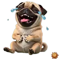 Mops: lachend WhatsApp-Sticker Original animierter Mops Sticker lachend für WhatsApp, erstellt von Dimensión Marta