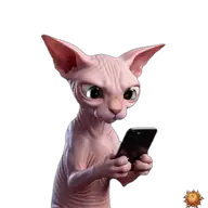 Sticker animado original de Sphynx con una notificación para WhatsApp, creado por Dimensión Marta