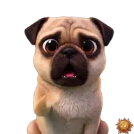 Mops: um Ruhe bittend WhatsApp-Sticker Original animierter Mops Sticker um Ruhe bittend für WhatsApp, erstellt von Dimensión Marta