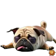 Mops: verkatert WhatsApp-Sticker Original animierter Mops Sticker verkatert für WhatsApp, erstellt von Dimensión Marta