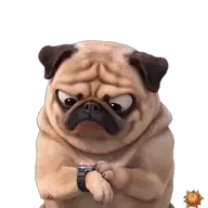Mops: zu spät kommend WhatsApp-Sticker Original animierter Mops Sticker zu spät kommend für WhatsApp, erstellt von Dimensión Marta