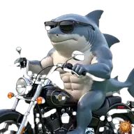 Original animierter Hai Sticker auf dem Motorrad für WhatsApp, erstellt von Dimensión Marta