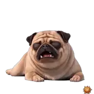 Mops: faul WhatsApp-Sticker Original animierter Mops Sticker faul für WhatsApp, erstellt von Dimensión Marta