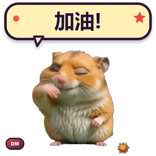 Hamster 加油动态贴纸